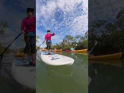 Paddle boarding in Florida 🤙🏼🐬🏖️🐚🦅🌿