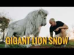 Walk with the Gigant Lion Snow - Dean Schneider