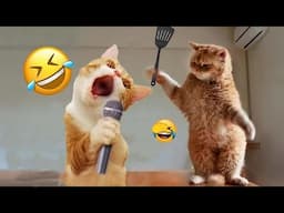 You Laugh You Lose 😍Best Funniest Cats and Dogs 2024 😸🐶