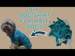 DIY Dog Shirt // How to make a dog shirt + How to make a Dog shirt pattern // Easy & Simple