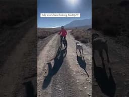 My son's favorite biking buddy 🐶