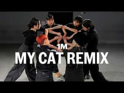 My cat Remix / Master Class / @Hyeyeon