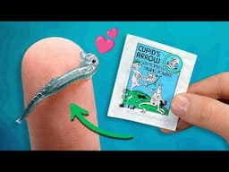 Sea-Monkeys Cupid's Arrow | Packet Experiment Series: Video 7