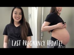 Week 30-37 Pregnancy Update!