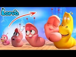 Larva Growing Up Compilation | Cartoon Wow