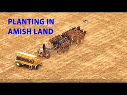 OLD ORDER AMISH Fall Planting Cover Crops with 8 Horse Power...Lancaster County's Amish Land