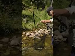 Fly fishing crystal clear waters at the top of the Victorian high country #australia #fishing #trout