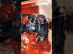 New ALIEN ROMULUS Xenomorph action figure! #Alien #Aliens #Xenomorph #NECA