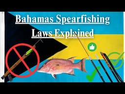 Bahamas Spearfishing Laws Explained [Conch, Lobster, Hogfish, Nassau and Goliath Grouper, Shark...