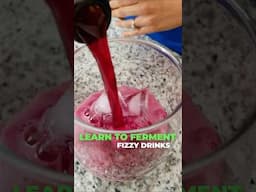 Learn to ferment fizzy drinks! #shorts #fermentation