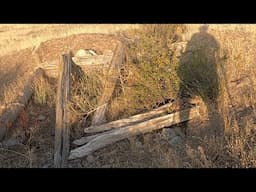 Metal detecting old homesteads in the wild wild west mountains of Montana.  Ep 326