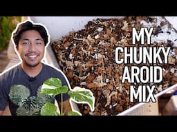 Repotting My Monstera Thai Constellation | Chunky Aroid Mix