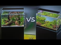 Nature Style vs Dutch Style Aquascaping (4K)