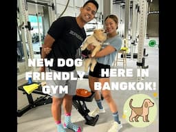 We found a NEW Dog Friendly Gym (here in Bangkok!) 🇹🇭