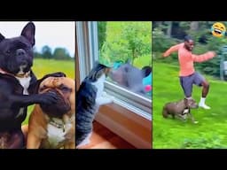 Funny ANIMALS videos 😂 Funniest CATS😺and DOGS🐕 2024