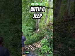 Pulling tree with Jeep