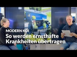 Können Krankheiten mit Pflanzinseln übertragen werden? | Modern Koi Blog #7180