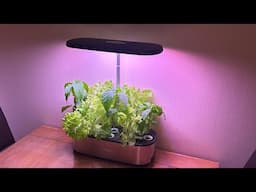 Hydroponic growing system sent by LetPot | Review with updates | Garden Ideas & DIY