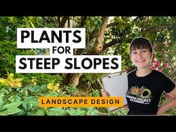 What to plant on a steep slope 🪴 How to design a garden on a hill