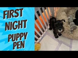 Where Should Your Puppy Sleep On Their First Night: Crate or Puppy Play Pen?