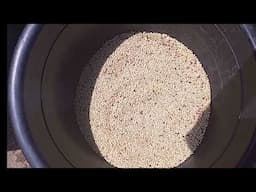 How to make Guinea corn flour from start to finish.