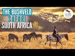 The Bushveld Safari, South Africa | Horse Riding Holidays | Globetrotting