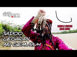 Misi Mencari Jenggo Sepit Biru Legaran Air Gemuruh || Jenggo Hunter || Sungai Sedeli Besar