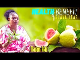 Incredible Benefits of Guava Leaves | 11 Reasons To Drink