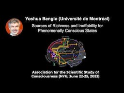 Yoshua Bengio: Sources of Richness and Ineffability for Phenomenally Conscious States | ASSC26