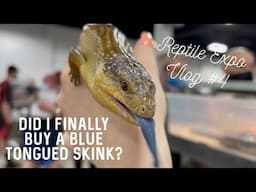 I FOUND MY SKINK SON + SETTING UP NEW ZEN HABITATS TANK! | Reptile Expo Vlog #4