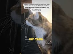 RIP Yada, my best friend for over 17 years. I will never forget you, my friend ❤️ 💙 🩵