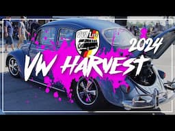 2024 VW HARVEST - WHAT AN EVENT!!