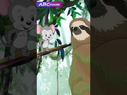 Three-Toed Sloth Plays Tag? | ABCmouse #animals #learning #nature #sloth #rainforest