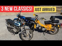 Fresh Finds for the Collection! Honda CT90, CL100 & Yamaha CT1 175