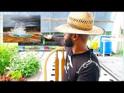 REDUCING EVAPOARATION IN AQUAPONICS