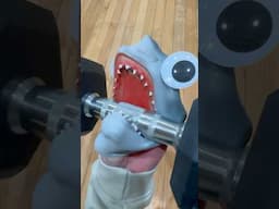 SHARK PUPPET GETS HUGE! (GLOWUP)