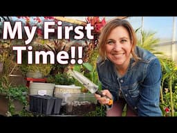 Seed experiment | Slicing root balls with my Hori Hori knife in My Carolina Garden