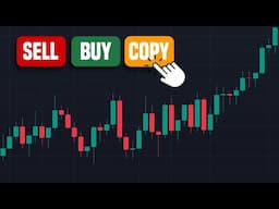 You can now copy successful trades... Here's how