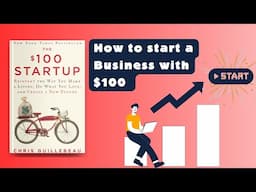 The $100 Startup Animated Book Summary