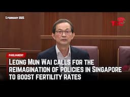 Leong Mun Wai calls for the reimagination of policies in Singapore to boost fertility rates