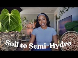 Transferring My Philodendron From Soil to Semi-Hydro | Philodendron Gloriosum + Silver Sword 🌱