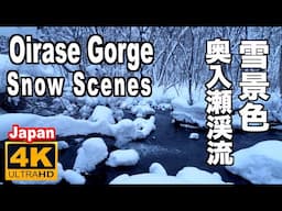 冬の奥入瀬渓流 Oirase Gorge in Winter 青森観光 雪景色の名所 十和田観光 氷瀑ライトアップツアー 冬の東北 青森  Japan towada Tohoku snow