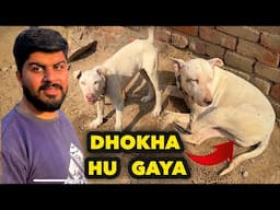 Ye Kesa Dog Hay 🤔 Atna Safar Kiya | Dhokha Hu Gaya  |Punjabi Shok Vlogs