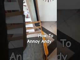 How To Annoy Andy