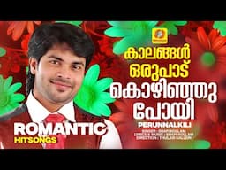 കാലങ്ങള്‍ ഒരുപാട് കൊഴിഞ്ഞു പോയി... | Malayalam Album Song |  Perunnal Kili | Shafi Kollam