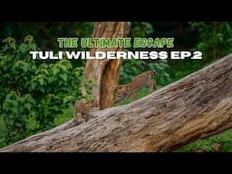 Tuli Wilderness: The Ultimate Bush Escape EP2