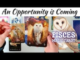 An Opportunity is Coming🪷Pisces Magic Tarot♓