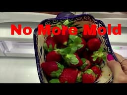 DO THIS TO PREVENT MOLD FROM GROWING ON YOUR STRAWBERRIES