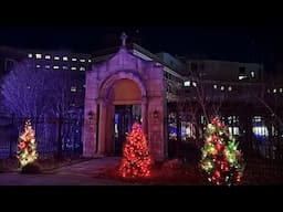 2024 SSM Health St. Mary's Hospital - Madison Lights of Love Tree Lighting Ceremony