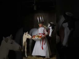 Santa Lucia Celebration in the Stable 🕯❤️ #horse #doll #art #miniature #modelhorse #sewing